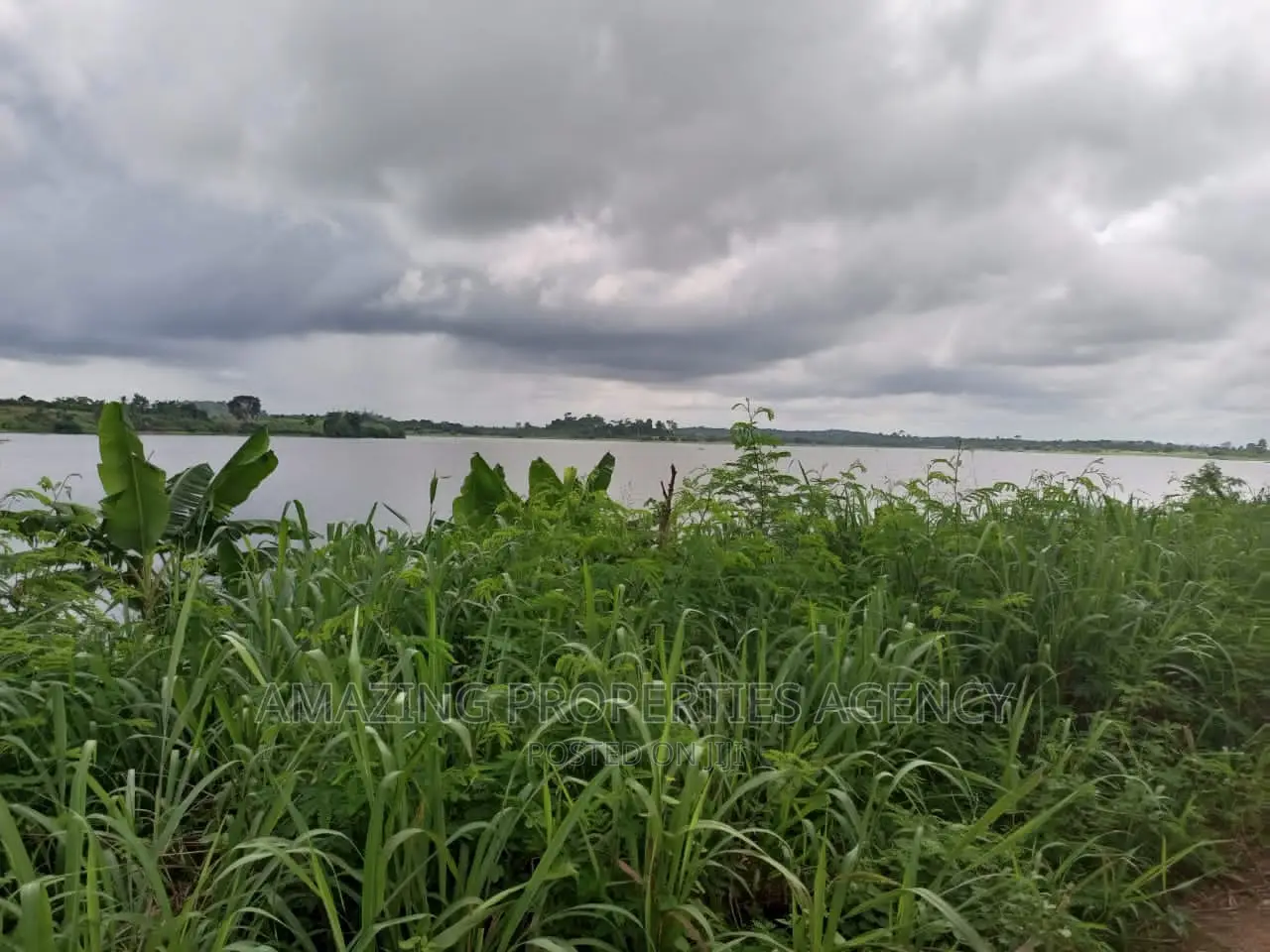 3000 Acres of Farmland at Mankessim in Mfantsiman Municipal Land