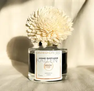 Home Fragrance Reed Diffuser
