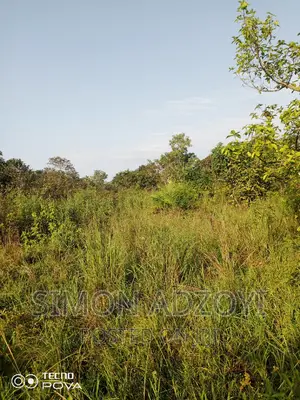 1000 Acres of Farm Land for Lease