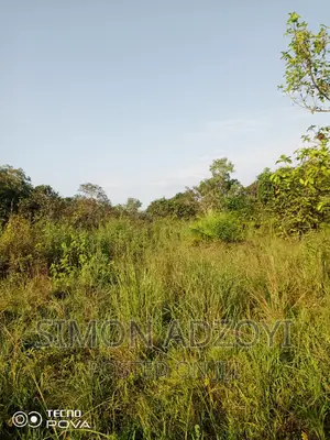 1000 Acres of Farm Land for Lease