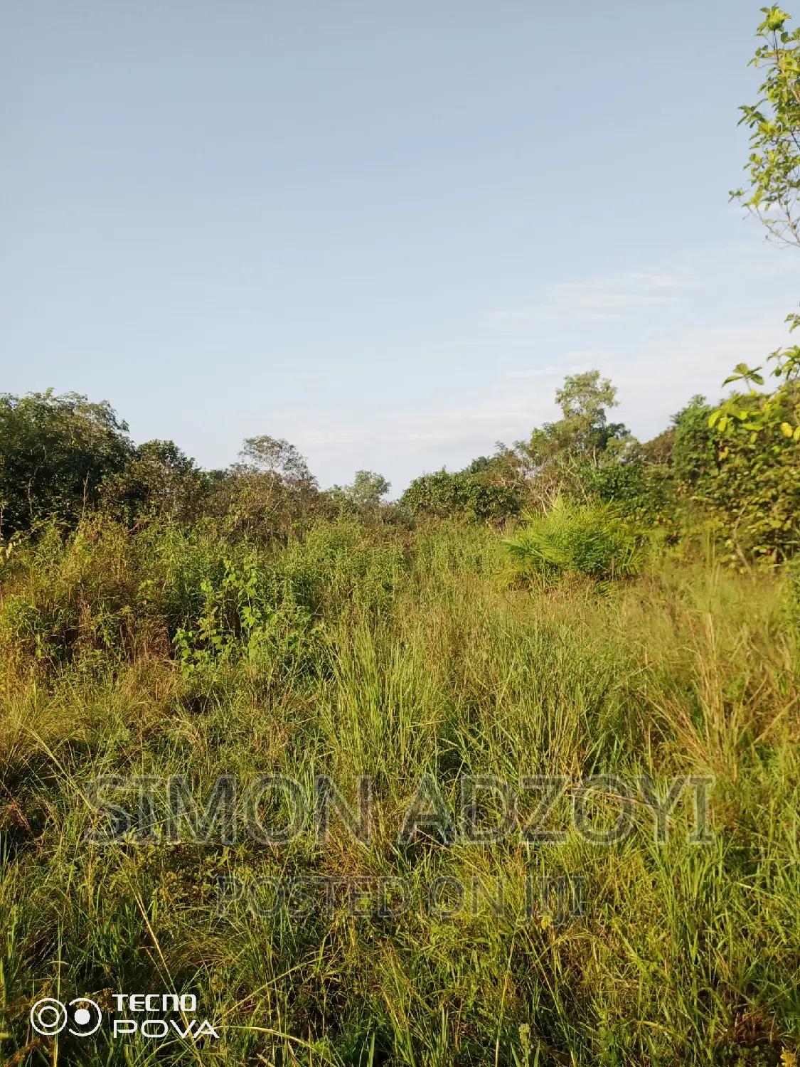 1000 Acres of Farm Land for Lease