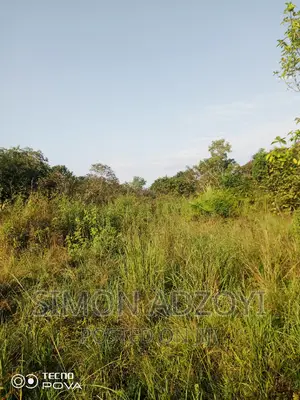1000 Acres of Farm Land for Lease
