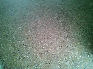 Terrazzo Floors and Walls