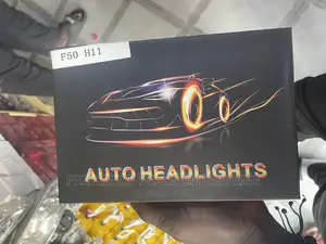 Head Light Bulb LED