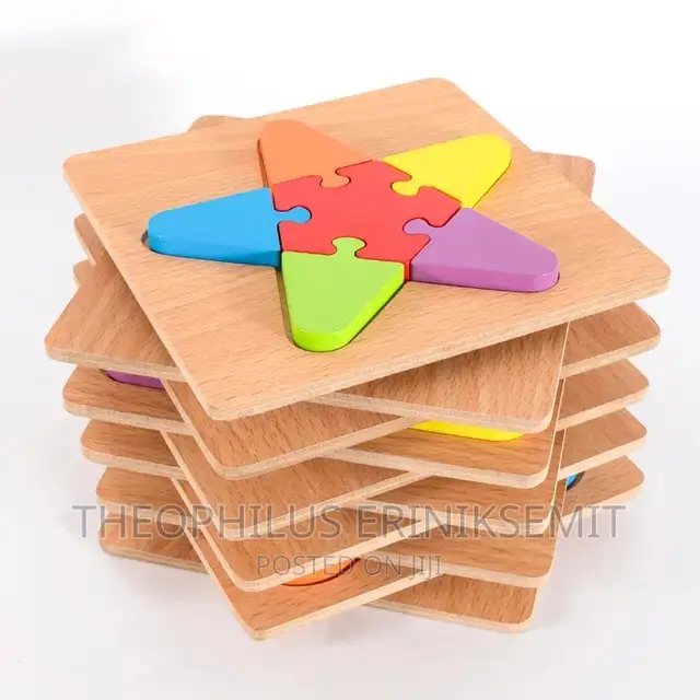1 Set Montessori Wooden Geometric Shape Educational Aid