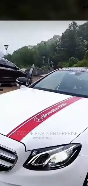 Body Design