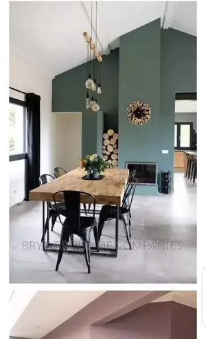 Ur Professional Painter