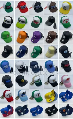 Caps/Baseball Cap /Trucker Cap/Flat Cap