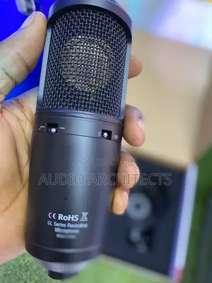 Studio Microphone AKG P220