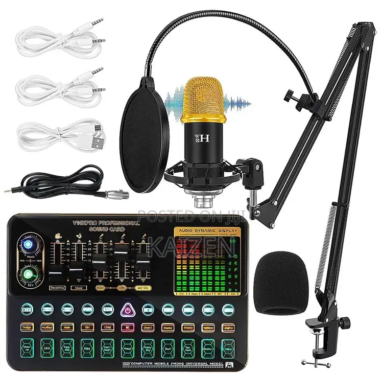 BM900 Microphone Condenser With V10s Pro Sound Card