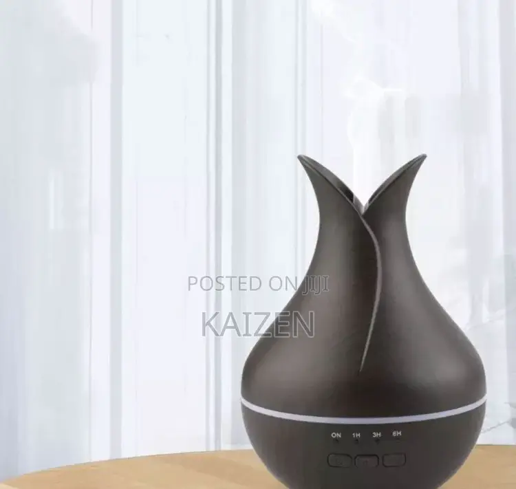 Electric Air Diffuser With Hidden Camera