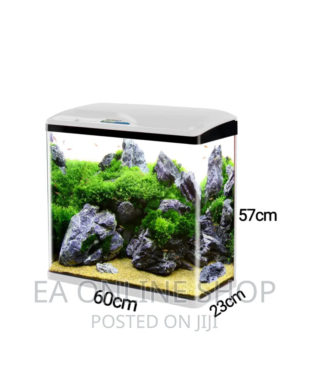 Aquarium Tank. Empty Tank