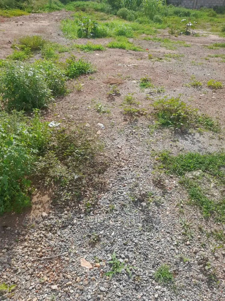 *Land Available for Sale at Appolonia*
