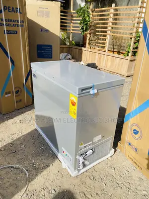 High Quality Nasco Double Door Refrigerator(Nas-250fl)Gray.