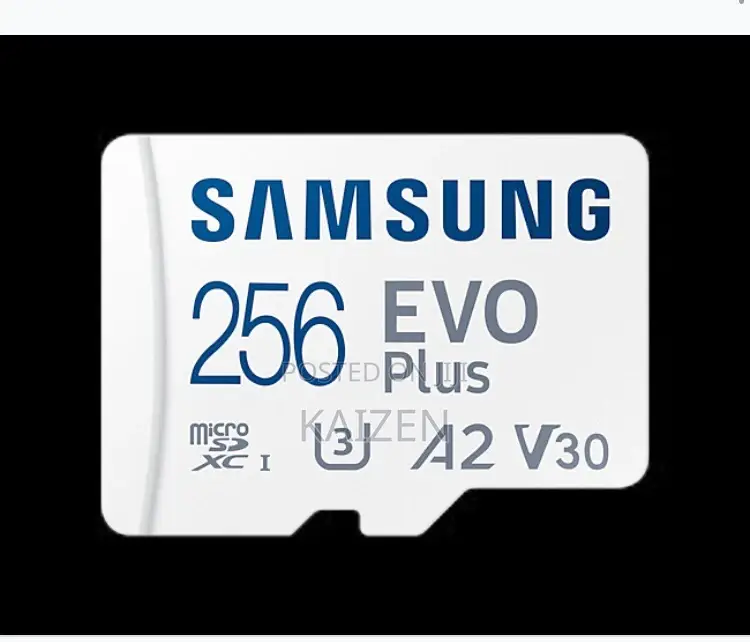 Samsung Evo+ Memory Card 256 GB