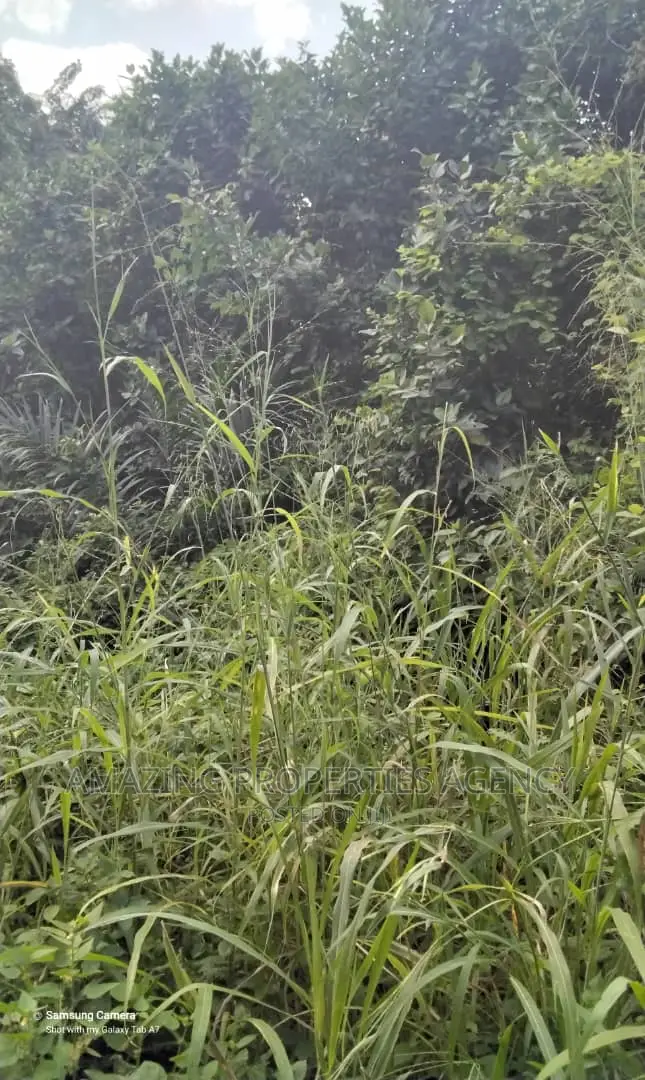 2200acres of Farm Land for Sale at Nsawam Teacher Mante