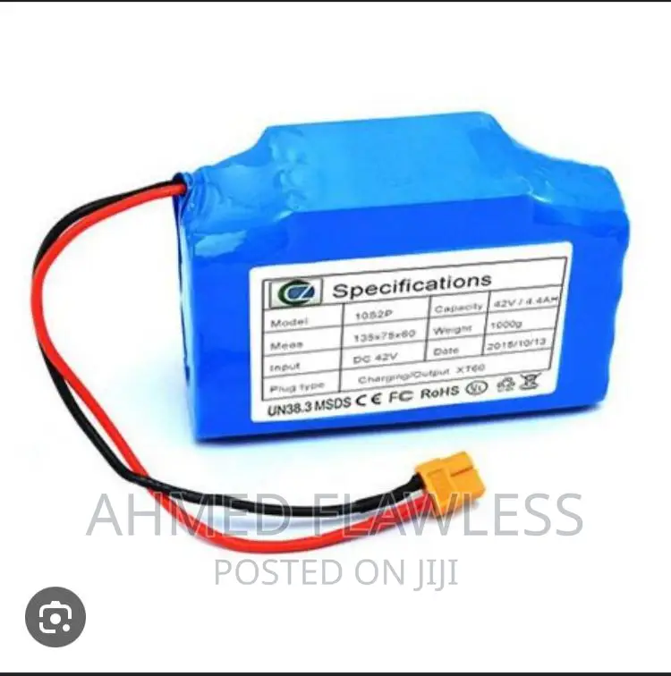 Lithium Ion Battery