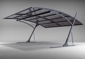 Foreign Carport Canopy