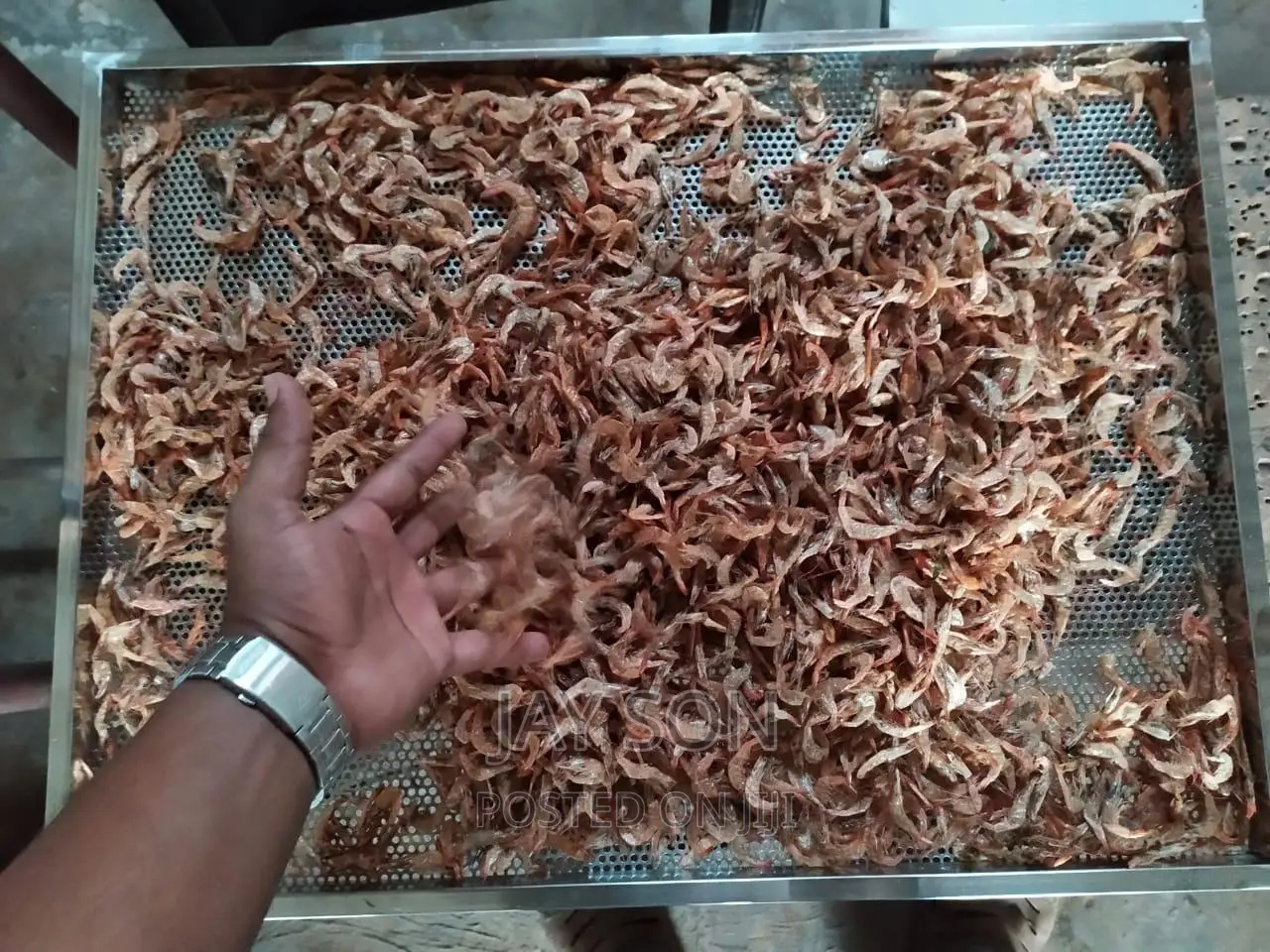 Commercial Food Dehydrator 40 Trays