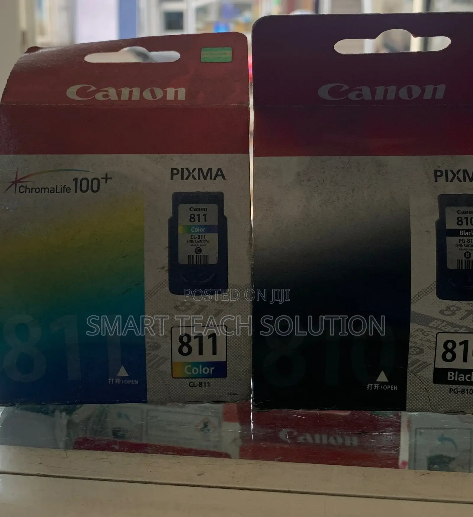 Canon 810 Ink