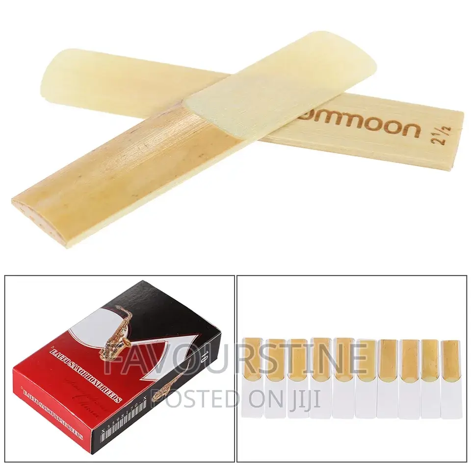 Rico Saxophone and Clarinet Reed