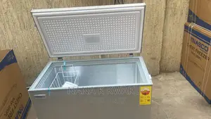 250 Litres_chest Freezer_nasco