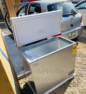 Shop Adorable Nasco Nas -250fl Electric Freezer(Gray).