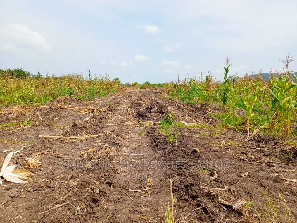 *Land Available for Sale at Oyibi* 48 Acres of Land