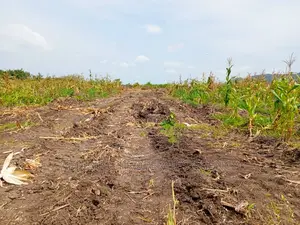 *Land Available for Sale at Oyibi* 48 Acres of Land