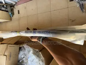 Accord 2018-2022 Door Molding