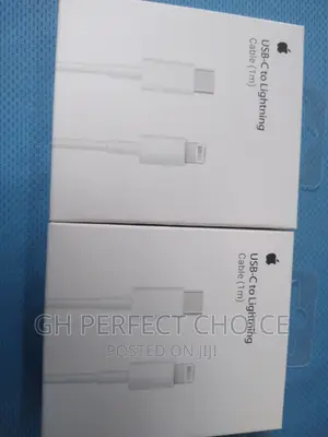 USB C to iPhone Lightening Cable
