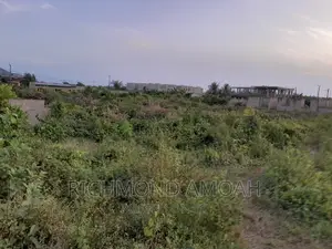 Half Plot for Sale at Kweikuma