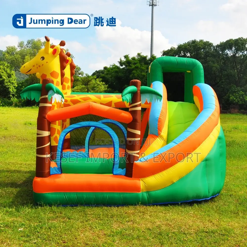 Bouncing Castle Large Size
