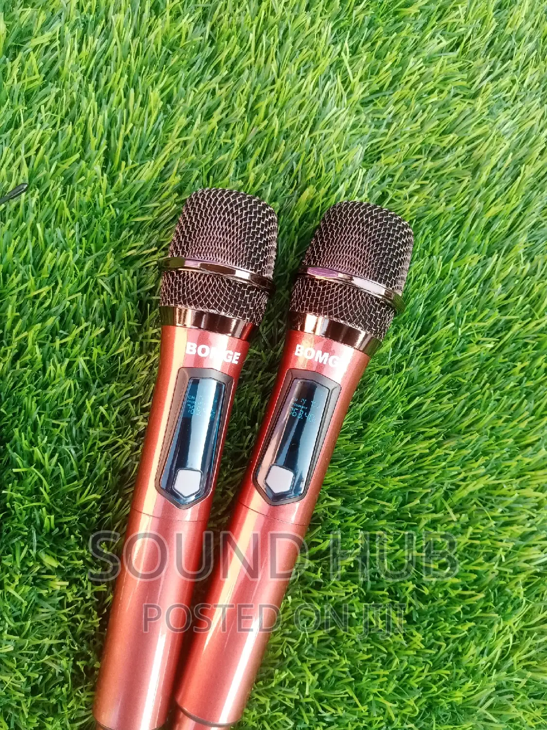 Wireless Microphones for Rent