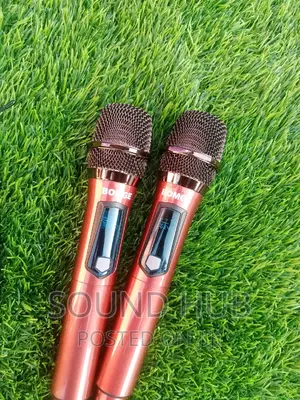 Wireless Microphones for Rent