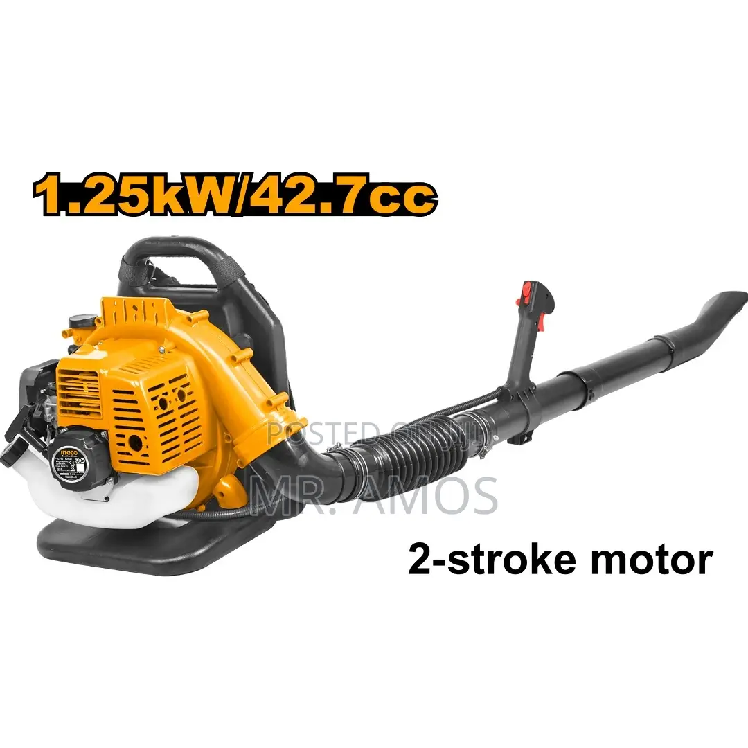 Ingco Gasoline Blower 42.7cc - GB543201