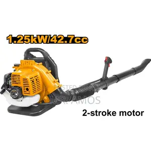Ingco Gasoline Blower 42.7cc - GB543201