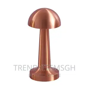 Metal Mushroom Rechargeable Led Table Lamp /Light
