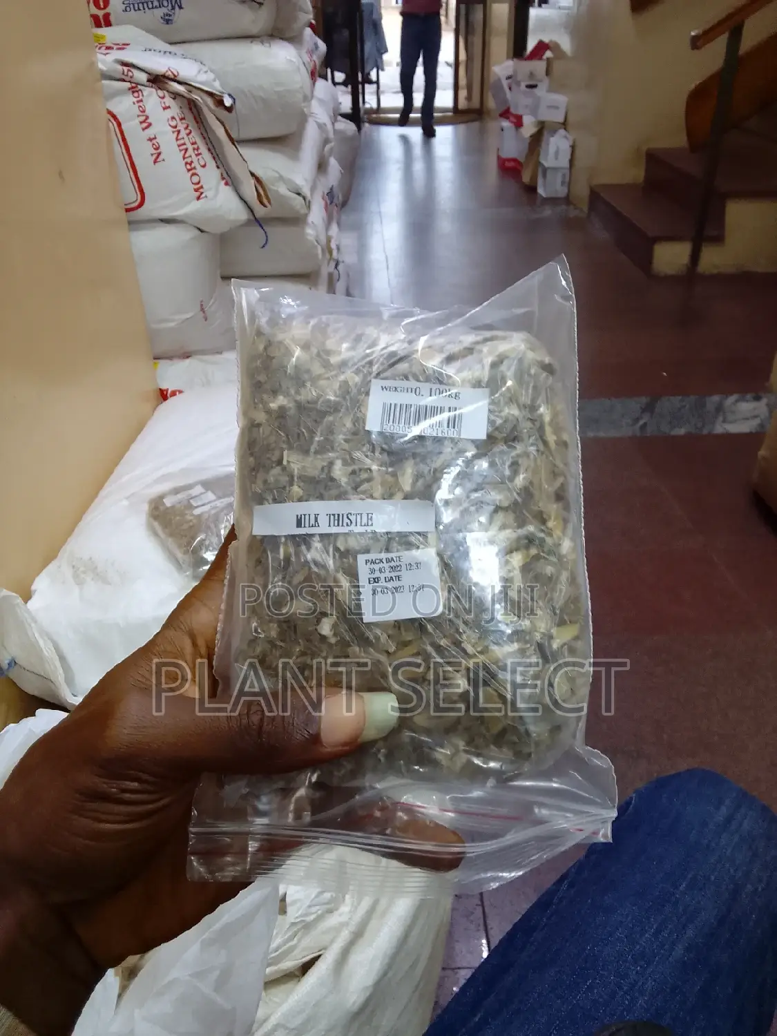 Milk Thistle Seeds and Leaves (Sterilised Powder)