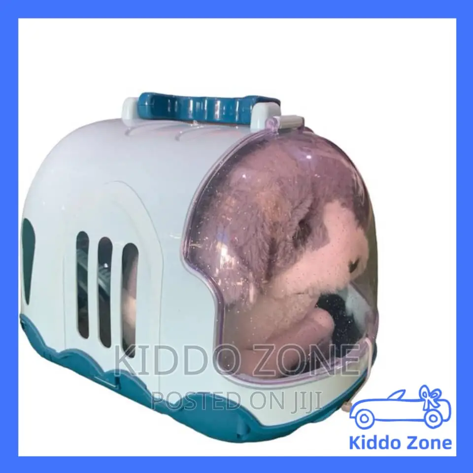 Kids Pet Teddy Bear