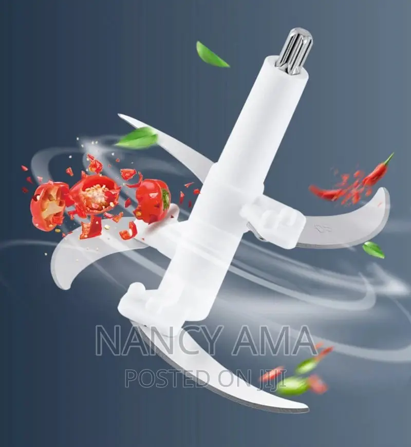 Stainless Food Processor