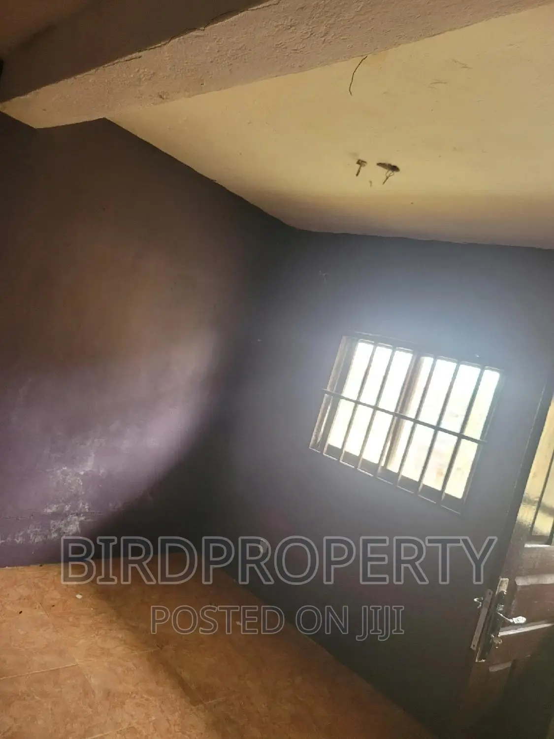 1bdrm Apartment in Birdproperty, Dworwulu for rent
