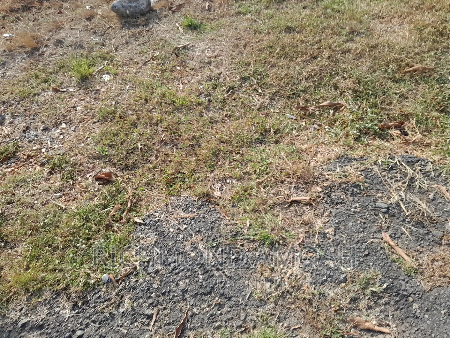 Plot for Sale at Race Course Down