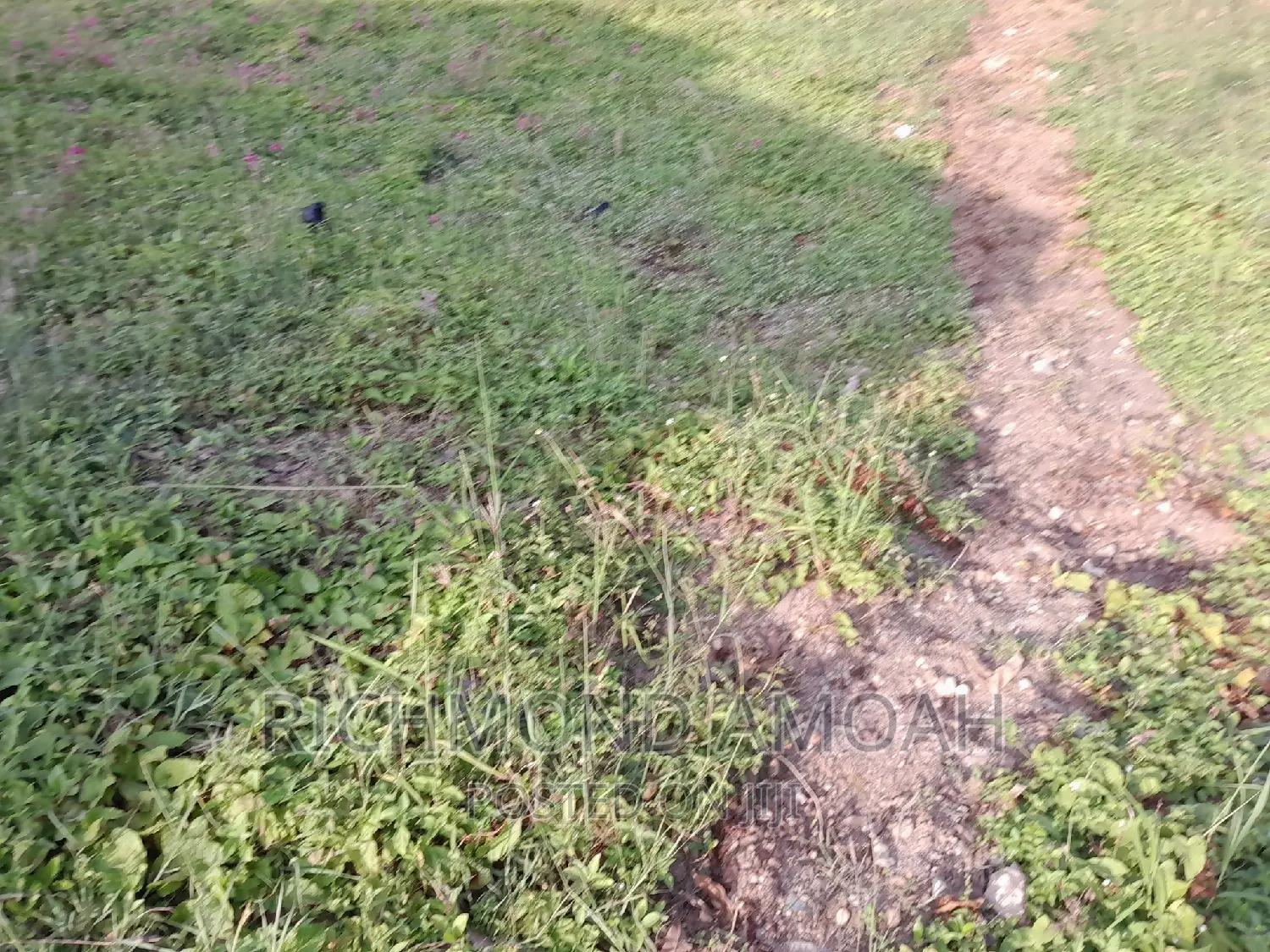 Plot for Sale at Kansa City
