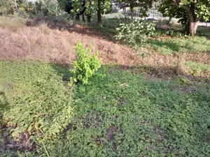 Plot for Sale at Kansa City