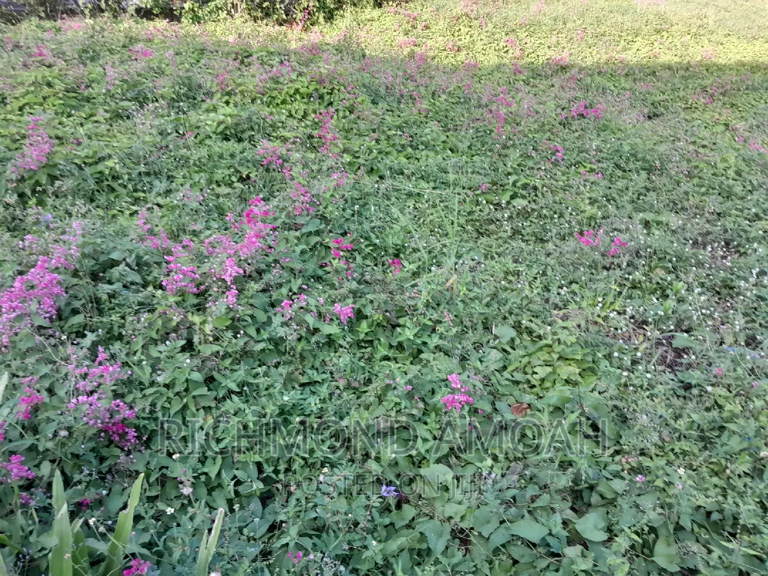 Plot for Sale at Kansa City