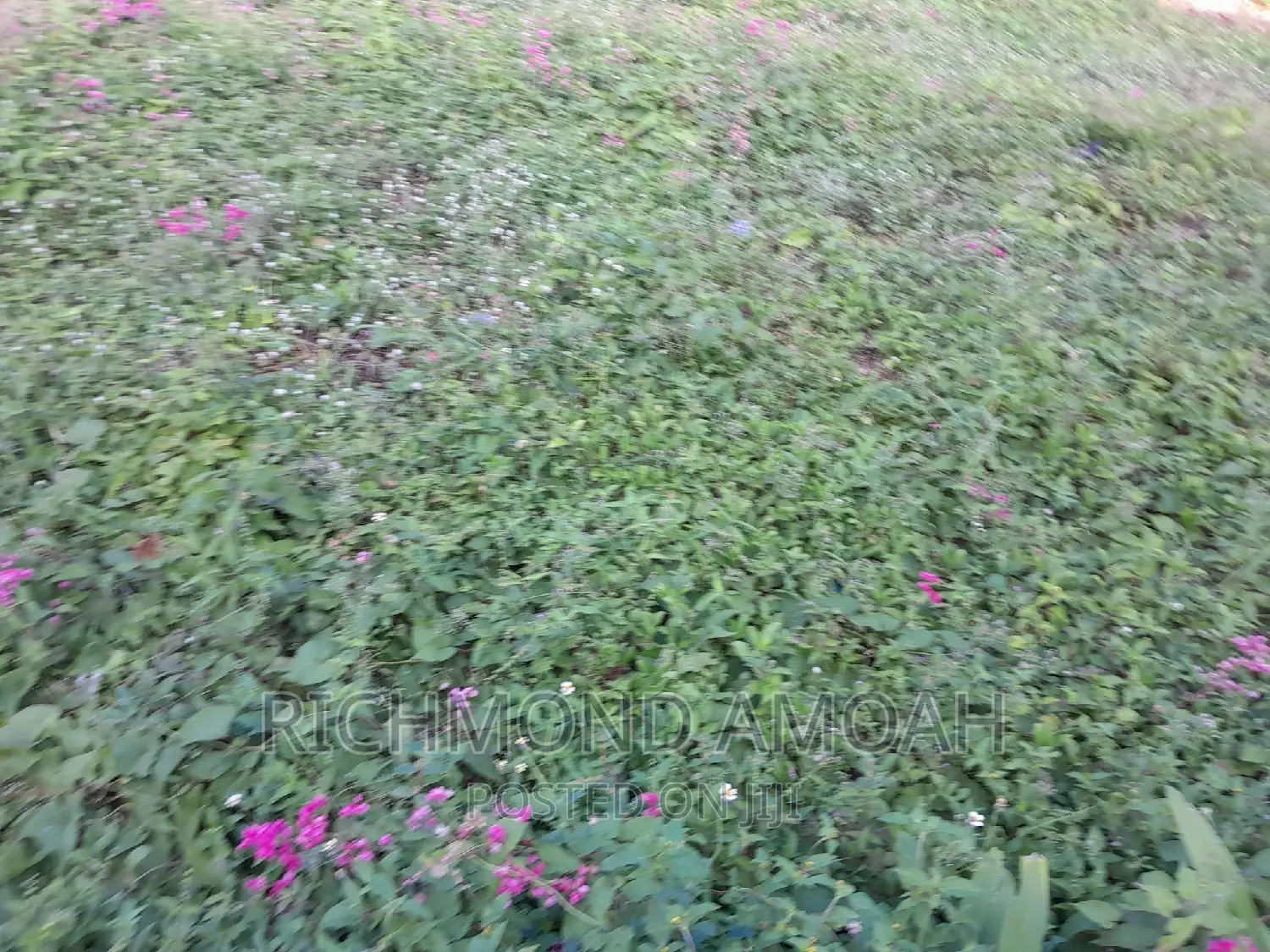 Plot for Sale at Kansa City