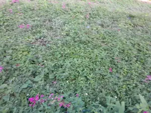 Plot for Sale at Kansa City