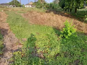 Plot for Sale at Essipon Ridge