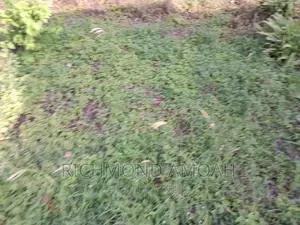 Plot for Sale at Essipon Ridge